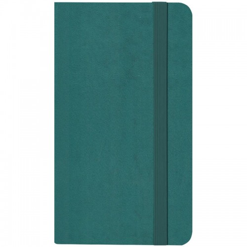 Книга записная Partner, 90*150, 96 л., кл., лазурная (Axent)