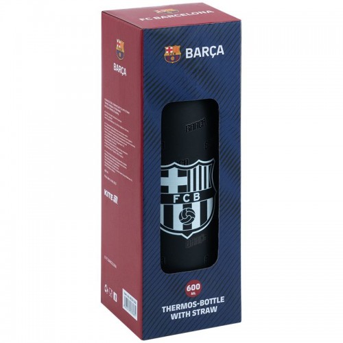 Термос з трубочкою 600мл, BC (Kite)