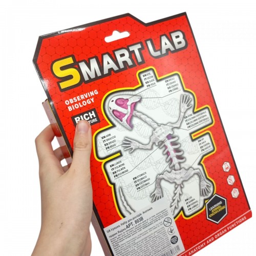 Набір для дослідів Анатомія тварин, Піранья (MiC)