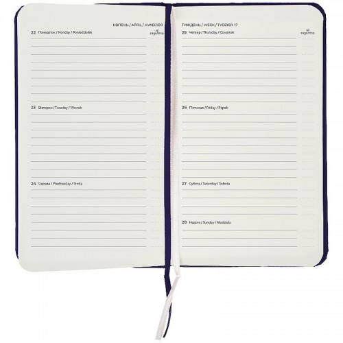 Щотижневик 2026 Pocket Strong, 90*150, синій (Axent)