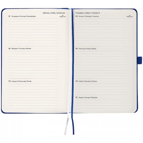 Щотижневик 2026 Grand Strong, 195*255, синій (Axent)