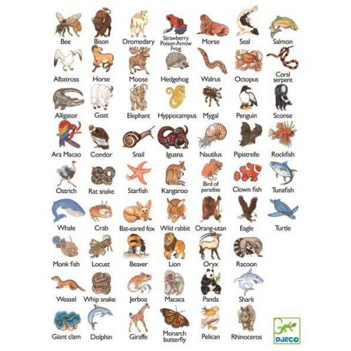 Игра настольная карточная детская "Занималка" (Djeco)