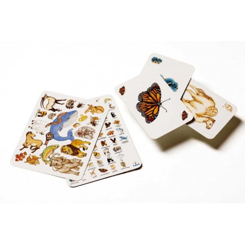 Игра настольная карточная детская "Занималка" (Djeco)