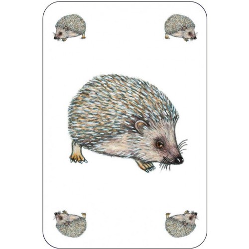 Игра настольная карточная детская "Занималка" (Djeco)