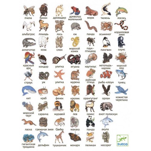 Игра настольная карточная детская "Занималка" (Djeco)