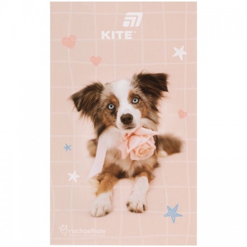 Блокнот-планшет, A6, 50 л., нелинов., RH (Kite)