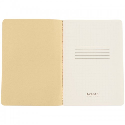 Книга записна  A6, 60 арк. кл., TR, Secret Garden 1 (Axent)