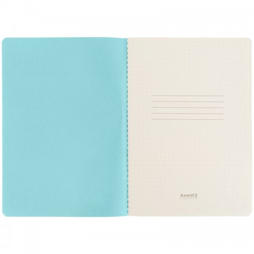 Книга записная A5,60 арк., кл., TR, Morning Dew 1 (Axent)