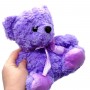МʼЯКА ІГРАШКА КОЛЬОРОВИЙ ВЕДМЕДИК 20 СМ (ФІОЛЕТОВИЙ) (MiC)
