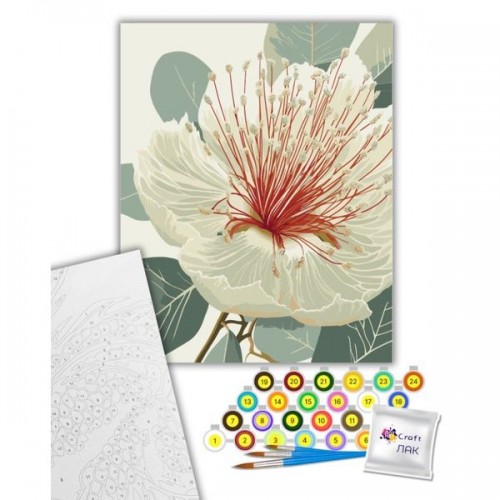 Картина за номерами "Квітучий евкаліпт" 40х50 см (art craft)