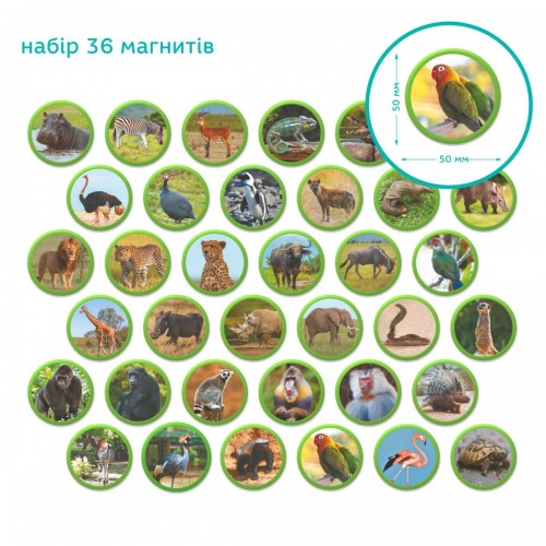 Магнитный набор Монтессори «Животные на континентах: Африка» (Dodo)