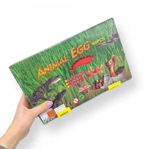 Яйцо динозавра растишка маленькая (МІС)