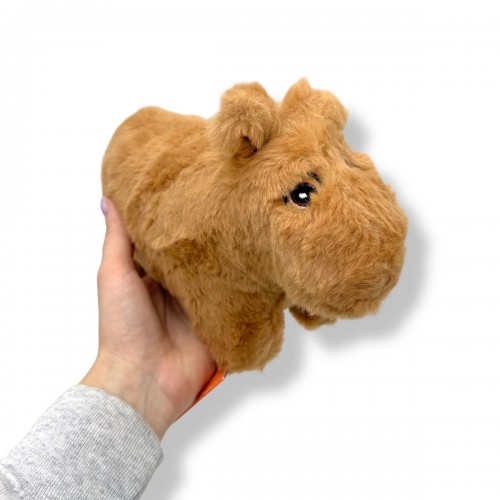 Капібара к (Копиця)