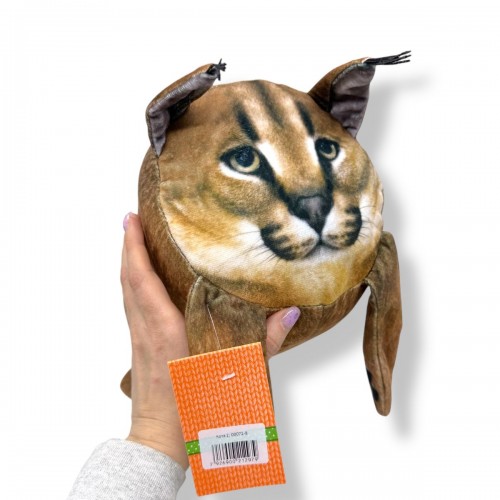 Котя 2 (Копиця)