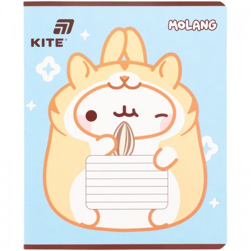 Тетрадь 18 л., кл., фольга + УФ лак, ML (Kite)