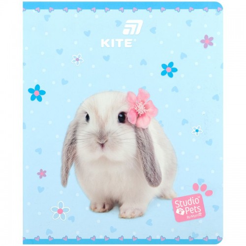 Зошит 24 арк., кл., софт тач + УФ лак, SP (Kite)