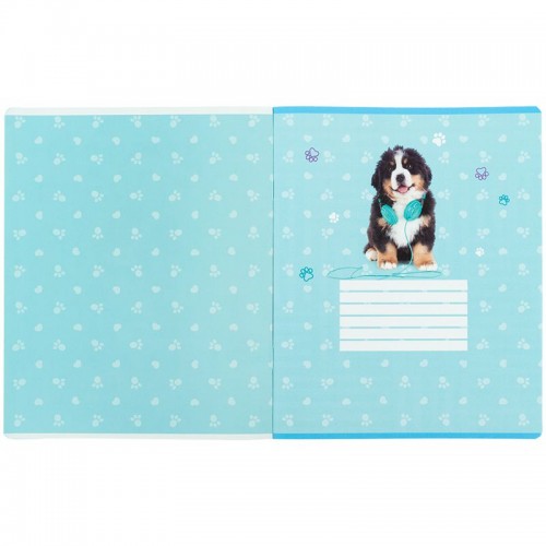 Зошит 24 арк., кл., софт тач + УФ лак, SP (Kite)