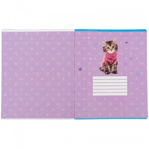 Зошит 24 арк., кл., софт тач + УФ лак, SP (Kite)