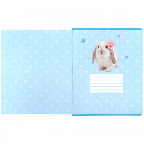 Зошит 24 арк., кл., софт тач + УФ лак, SP (Kite)