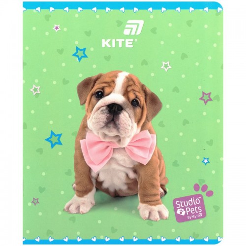 Зошит 24 арк., кл., софт тач + УФ лак, SP (Kite)