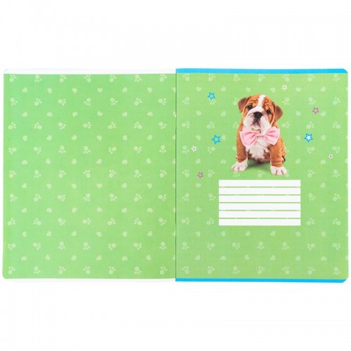 Зошит 24 арк., кл., софт тач + УФ лак, SP (Kite)