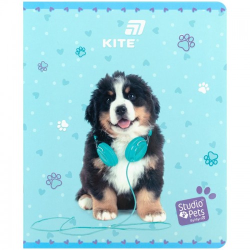 Зошит 24 арк., кл., софт тач + УФ лак, SP (Kite)