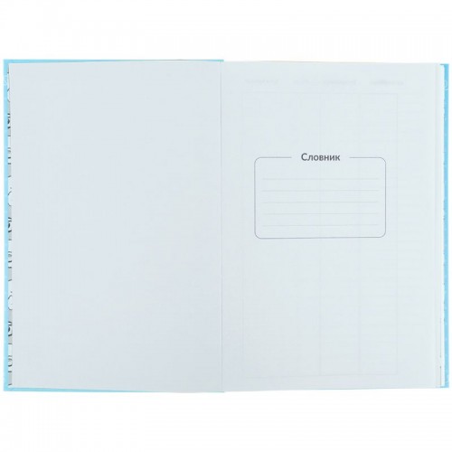 Словник з іноземної мови, 60 арк., CR (Kite)