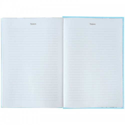 Словник з іноземної мови, 60 арк., CR (Kite)