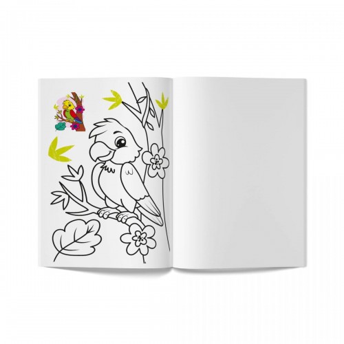 Книга розмальовка "Кольорованка. Зоопарк" (Crystal Book)