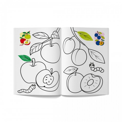 Книга розмальовка "Кольорованка. Фрукти" (Crystal Book)