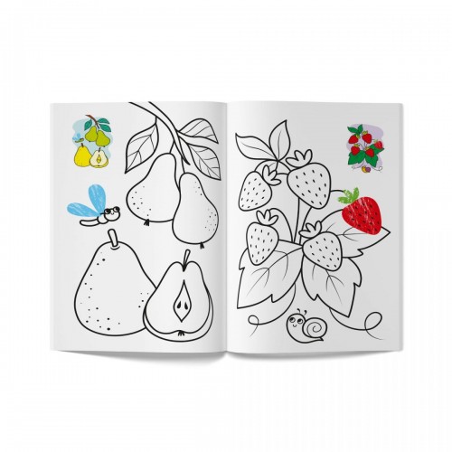 Книга розмальовка "Кольорованка. Фрукти" (Crystal Book)