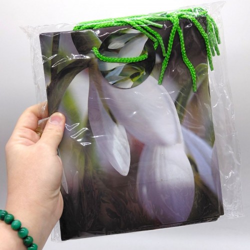 Пакет паперовий 5 шт в пакуванні 18х23х10 см (Art studio of Happiness)