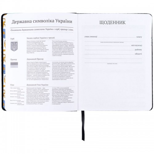 Щоденник шкільний, тверда обкл. PU, GF (Kite)