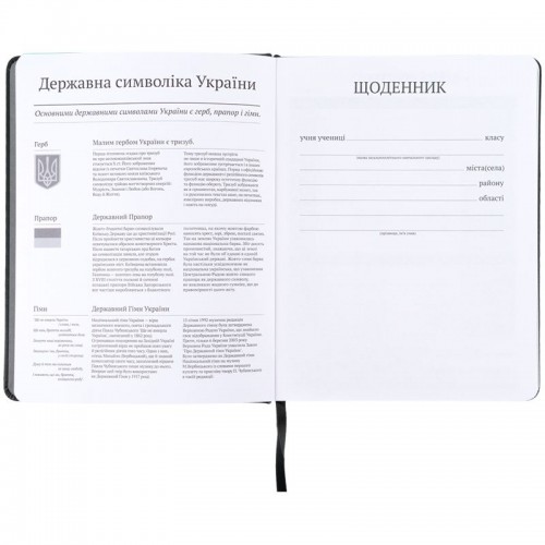 Щоденник шкільний, тверда обкл. PU, Skate (Kite)