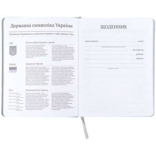 Щоденник шкільний, тверда обкл. PU, HP (Kite)