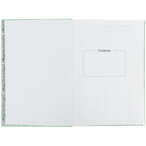 Словник з іноземної мови, 60 арк., PC (Kite)