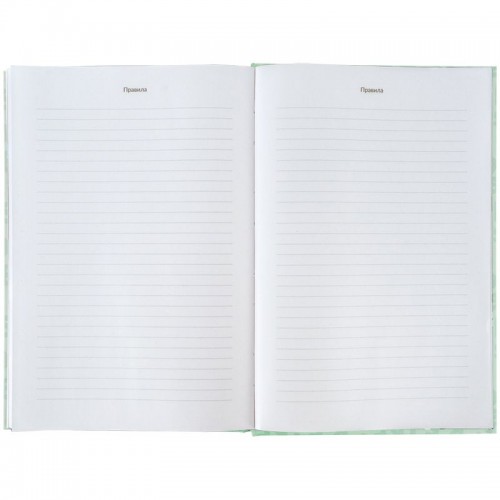 Словник з іноземної мови, 60 арк., PC (Kite)