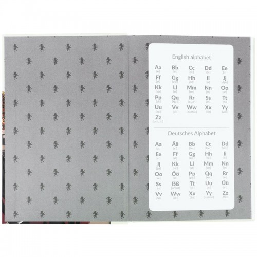 Словник з іноземної мови, 60 арк., HP (Kite)