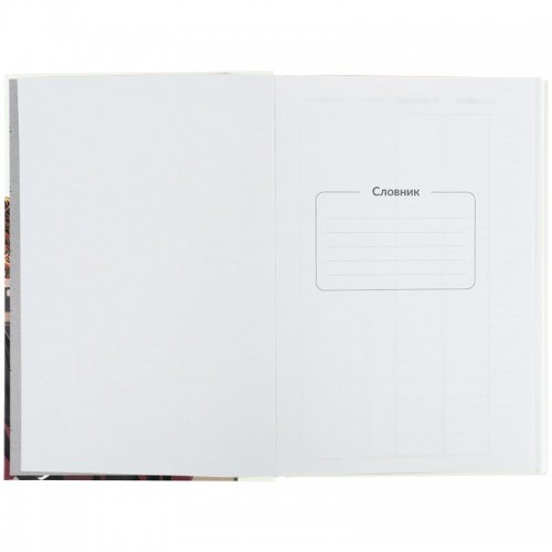 Словник з іноземної мови, 60 арк., HP (Kite)