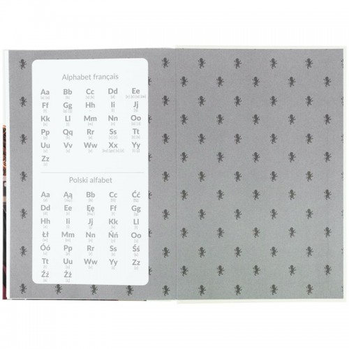 Словник з іноземної мови, 60 арк., HP (Kite)