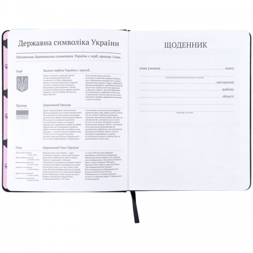 Школьный дневник, твердая обл. PU, HK-2 (Kite)