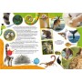 Книга "Школа почемучки. Удивительные животные. 60 развивающих наклеек", рус (Crystal Book)