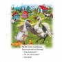 Книга про тварин "Домашні тварини" рус (Кредо)
