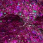 ORB Slimy Xtreme Glitterz: глітерний слайм фіолетовий (90 г) (ORB)