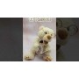 Мишка сказочник (КОРИЧЕСКИЙ) (Wtoys)